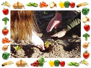 horta